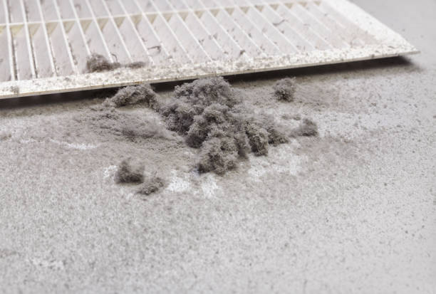 Best HVAC Maintenance and Cleaning  in Bethany, IL