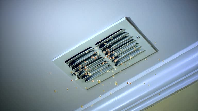 Best Local Air Duct Cleaning Services  in Bethany, IL