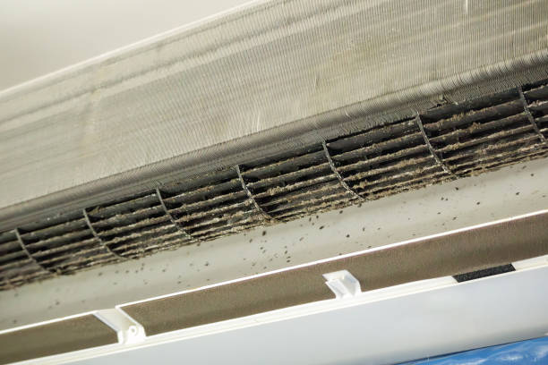 Best Affordable HVAC Duct Cleaning  in Bethany, IL